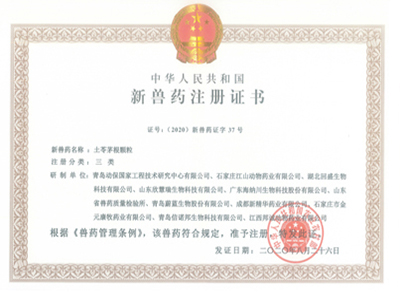 企业荣誉